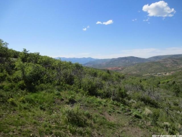 Summer View